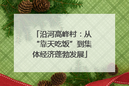 沿河高峰村：从“靠天吃饭”到集体经济蓬勃发展