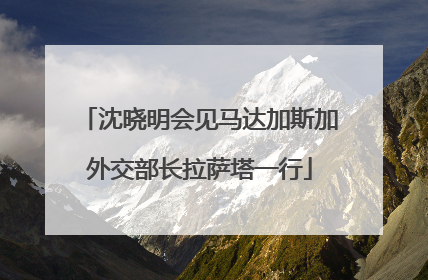 沈晓明会见马达加斯加外交部长拉萨塔一行