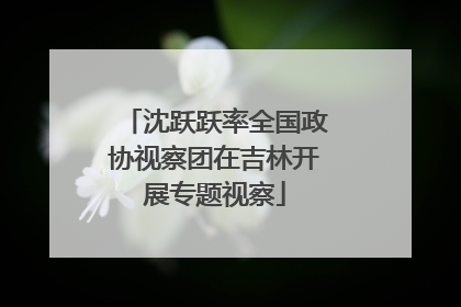 沈跃跃率全国政协视察团在吉林开展专题视察