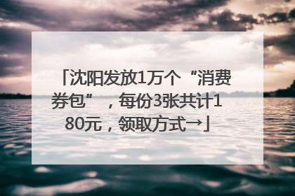 沈阳发放1万个“消费券包”，每份3张共计180元，领取方式→