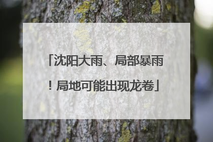沈阳大雨、局部暴雨！局地可能出现龙卷