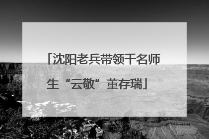 沈阳老兵带领千名师生“云敬”董存瑞