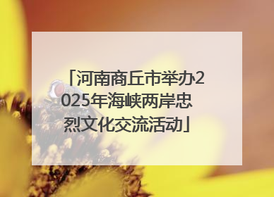 河南商丘市举办2025年海峡两岸忠烈文化交流活动