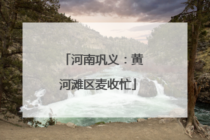河南巩义：黄河滩区麦收忙