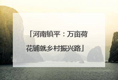 河南镇平：万亩荷花铺就乡村振兴路