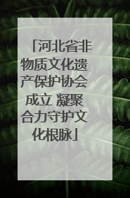 河北省非物质文化遗产保护协会成立 凝聚合力守护文化根脉