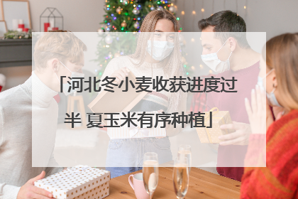 河北冬小麦收获进度过半 夏玉米有序种植