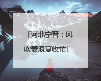河北宁晋：风吹麦浪夏收忙