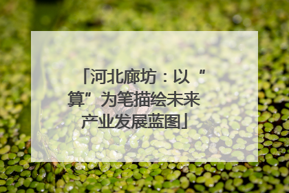 河北廊坊：以“算”为笔描绘未来产业发展蓝图