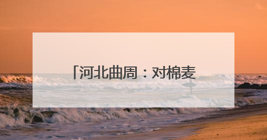 河北曲周：对棉麦间作试验田进行实打实收现场测产
