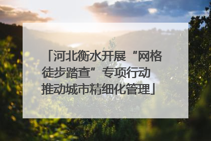 河北衡水开展“网格徒步踏查”专项行动 推动城市精细化管理