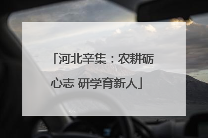 河北辛集：农耕砺心志 研学育新人