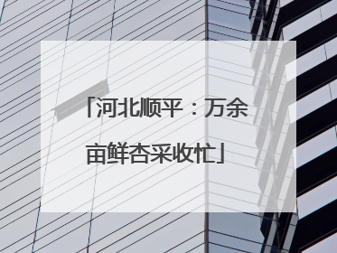 河北顺平：万余亩鲜杏采收忙