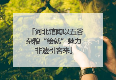 河北馆陶以五谷杂粮“绘就”魅力非遗引客来