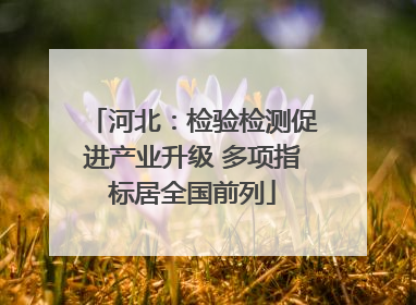 河北：检验检测促进产业升级 多项指标居全国前列