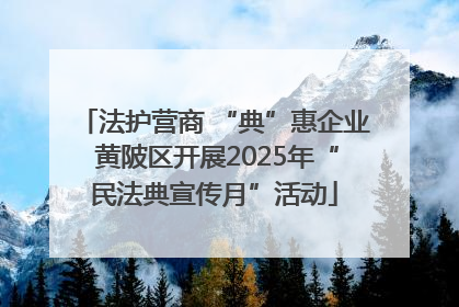 法护营商 “典”惠企业 黄陂区开展2025年“民法典宣传月”活动