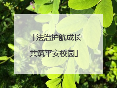 法治护航成长 共筑平安校园