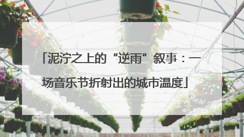 泥泞之上的“逆雨”叙事：一场音乐节折射出的城市温度