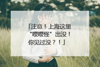 注意！上海这里“嘤嘤怪”出没！你见过没？！
