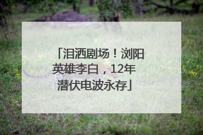 泪洒剧场！浏阳英雄李白，12年潜伏电波永存