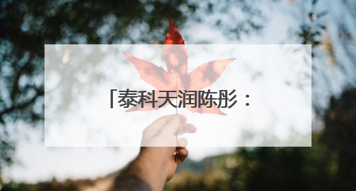 泰科天润陈彤：芯片研发是一场比拼耐力的马拉松｜湘商，向上⑤