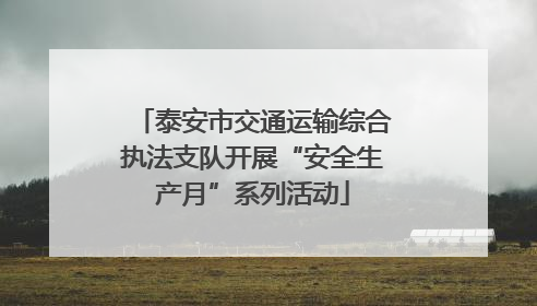泰安市交通运输综合执法支队开展“安全生产月”系列活动