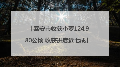 泰安市收获小麦124,980公顷 收获进度近七成