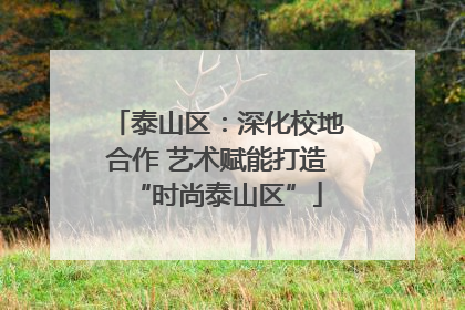 泰山区：深化校地合作 艺术赋能打造“时尚泰山区”