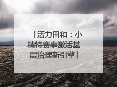 活力田和：小精特赛事激活基层治理新引擎