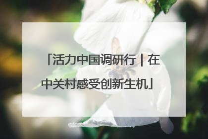 活力中国调研行｜在中关村感受创新生机