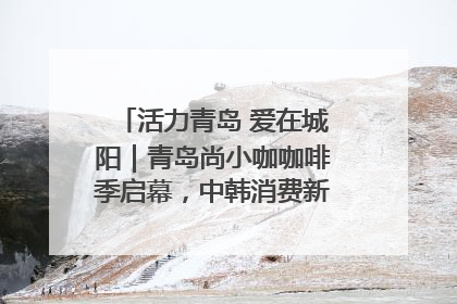 活力青岛 爱在城阳｜青岛尚小咖咖啡季启幕，中韩消费新场景点燃夏日热情