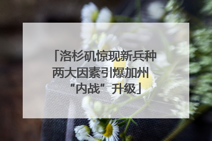 洛杉矶惊现新兵种 两大因素引爆加州“内战”升级