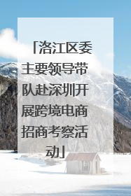 洛江区委主要领导带队赴深圳开展跨境电商招商考察活动