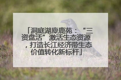 洞庭湖麋鹿苑：“三资盘活”激活生态资源，打造长江经济带生态价值转化新标杆