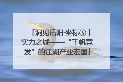 洞见岳阳·坐标⑤丨实力之城——“千帆竞发”的江湖产业宏图