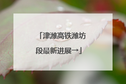 津潍高铁潍坊段最新进展→