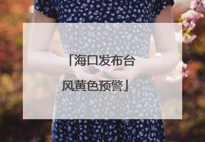 海口发布台风黄色预警