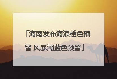 海南发布海浪橙色预警 风暴潮蓝色预警
