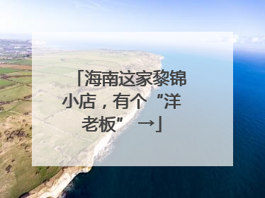 海南这家黎锦小店，有个“洋老板” →