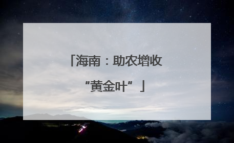 海南：助农增收 “黄金叶”