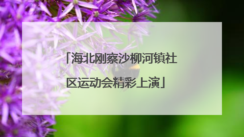 海北刚察沙柳河镇社区运动会精彩上演