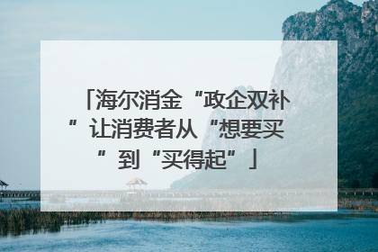 海尔消金“政企双补”让消费者从“想要买”到“买得起”