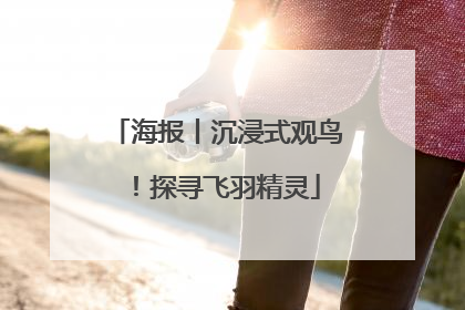 海报丨沉浸式观鸟！探寻飞羽精灵