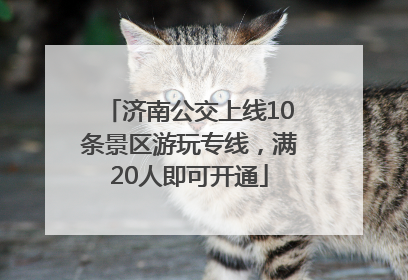 济南公交上线10条景区游玩专线，满20人即可开通