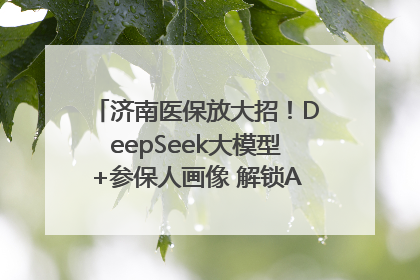 济南医保放大招！DeepSeek大模型+参保人画像 解锁AI医保管家新体验