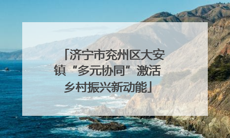 济宁市兖州区大安镇“多元协同”激活乡村振兴新动能