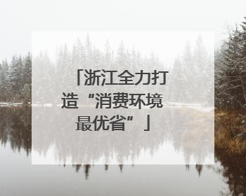 浙江全力打造“消费环境最优省”