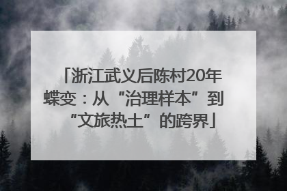 浙江武义后陈村20年蝶变：从“治理样本”到“文旅热土”的跨界