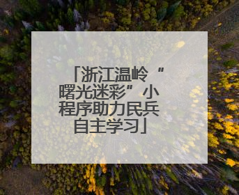浙江温岭“曙光迷彩”小程序助力民兵自主学习