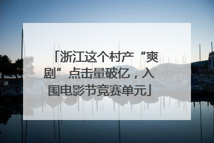 浙江这个村产“爽剧”点击量破亿，入围电影节竞赛单元